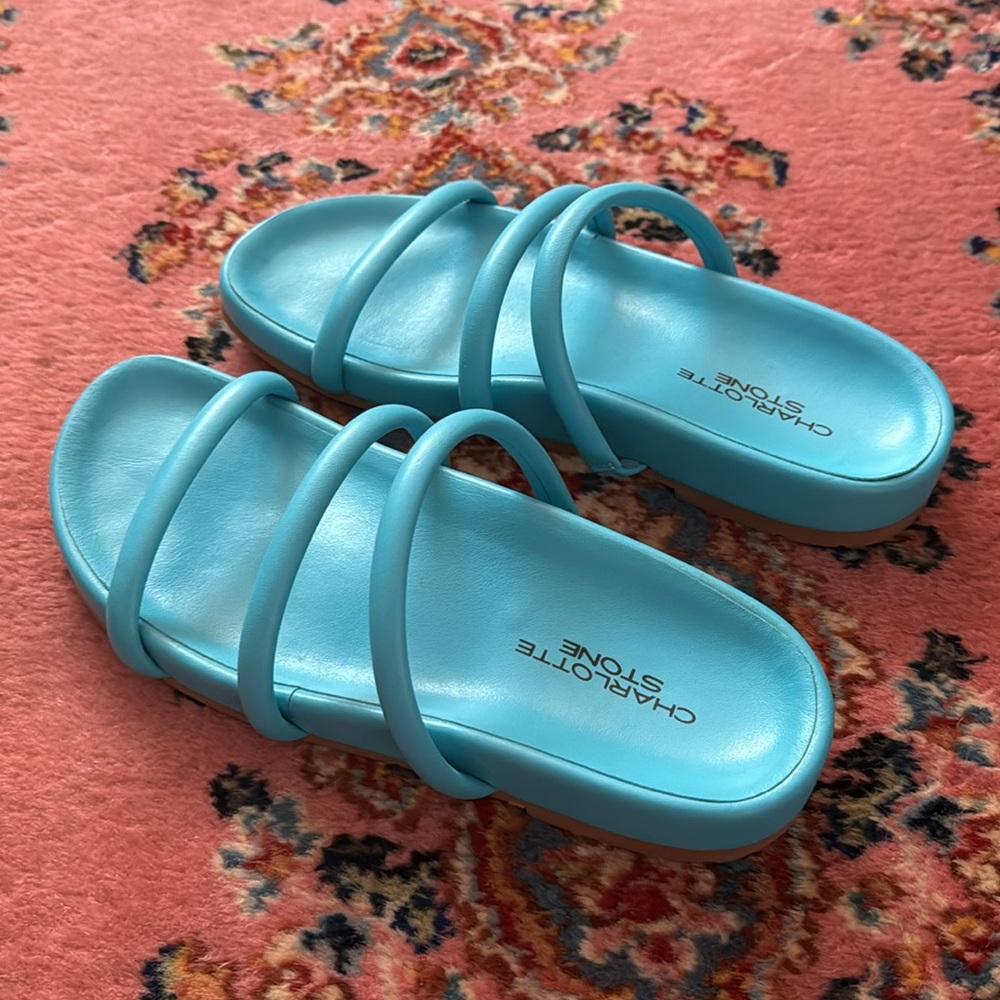 Charlotte Stone Strappy Slides